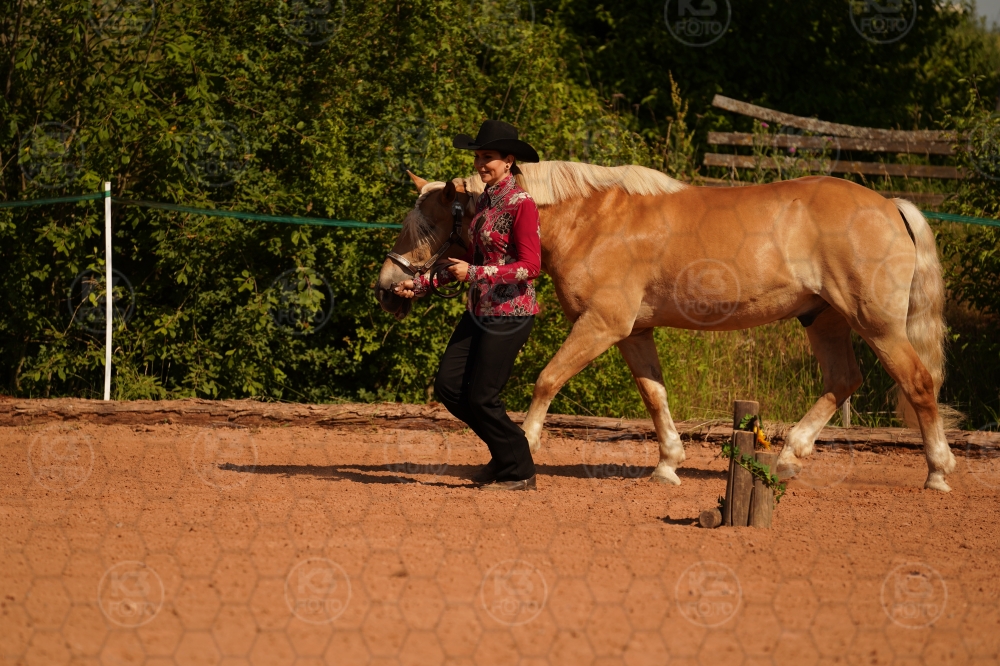 s_A9_03336.jpg